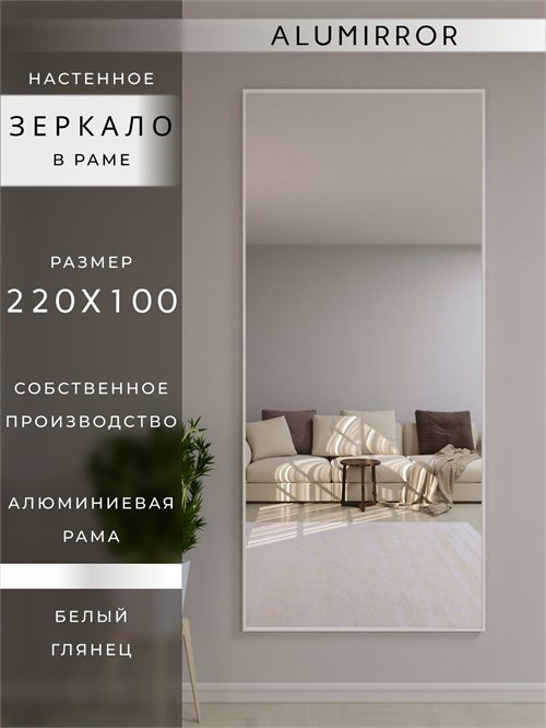 Зеркало настенное 220х100 см в алюминиевой раме интерьерное ALUMIRROR 2000_220x100_NOBL