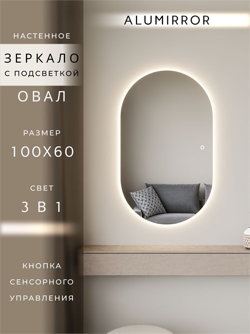 Зеркало настенное 100х60 см. сенсорное овальное с подсветкой М6 ALUMIRROR М6_100x60_BL_CTRL_сенсор_LIGHT_TUNABLE