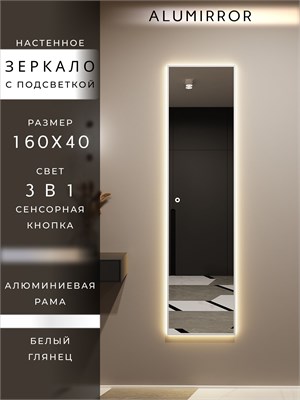 {{photo.Alt || photo.Description || 'Зеркало настенное 160х40 см с подсветкой сенсорное в алюминиевой раме интерьерное ALUMIRROR'}}