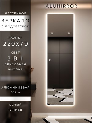 {{photo.Alt || photo.Description || 'Зеркало настенное 220х70 см с подсветкой сенсорное в алюминиевой раме интерьерное ALUMIRROR'}}