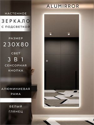 {{photo.Alt || photo.Description || 'Зеркало настенное 230х80 см с подсветкой сенсорное в алюминиевой раме интерьерное ALUMIRROR'}}