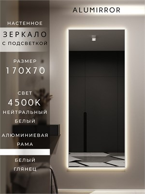 {{photo.Alt || photo.Description || 'Зеркало настенное 170х70 см с подсветкой. Свет: Нейтральный белый 4500К. В алюминиевой раме интерьерное ALUMIRROR'}}