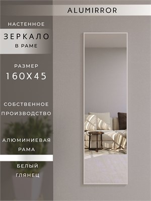 {{photo.Alt || photo.Description || 'Зеркало настенное 160х45 см в алюминиевой раме интерьерное ALUMIRROR'}}