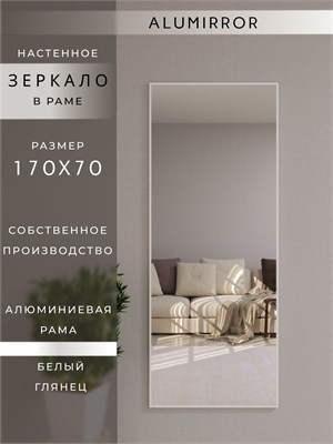 {{photo.Alt || photo.Description || 'Зеркало настенное 170х70 см в алюминиевой раме интерьерное ALUMIRROR'}}