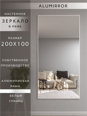 {{photo.Alt || photo.Description || 'Зеркало настенное 200х100 см в алюминиевой раме интерьерное ALUMIRROR'}}