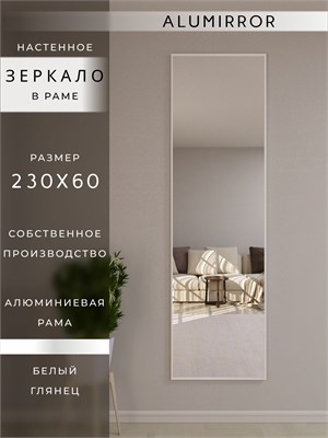 {{photo.Alt || photo.Description || 'Зеркало настенное 230х60 см в алюминиевой раме интерьерное ALUMIRROR'}}