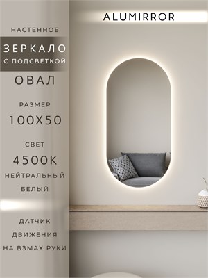 {{photo.Alt || photo.Description || 'Зеркало настенное 100х50 см. нейтральный свет 4500К овальное с подсветкой М6 ALUMIRROR'}}