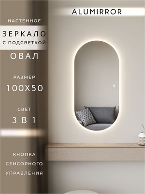 {{photo.Alt || photo.Description || 'Зеркало настенное 100х50 см. сенсорное овальное с подсветкой М6 ALUMIRROR'}}