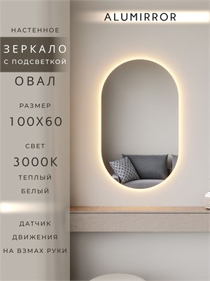 {{photo.Alt || photo.Description || 'Зеркало настенное 100х60 см. теплый свет 3000К овальное с подсветкой М6 ALUMIRROR'}}