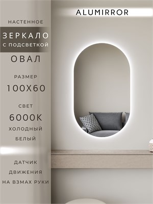 {{photo.Alt || photo.Description || 'Зеркало настенное 100х60 см. холодный свет 6000К овальное с подсветкой М6 ALUMIRROR'}}