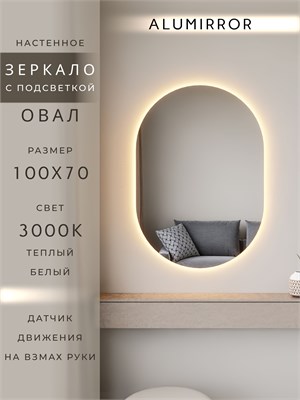 {{photo.Alt || photo.Description || 'Зеркало настенное 100х70 см. теплый свет 3000К овальное с подсветкой М6 ALUMIRROR'}}
