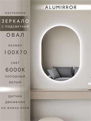 {{photo.Alt || photo.Description || 'Зеркало настенное 100х70 см. холодный свет 6000К овальное с подсветкой М6 ALUMIRROR'}}