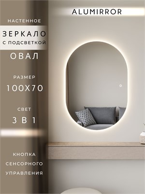 {{photo.Alt || photo.Description || 'Зеркало настенное 100х70 см. сенсорное овальное с подсветкой М6 ALUMIRROR'}}