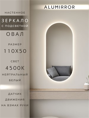 {{photo.Alt || photo.Description || 'Зеркало настенное 110х50 см. нейтральный свет 4500К овальное с подсветкой М6 ALUMIRROR'}}