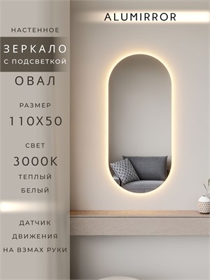 {{photo.Alt || photo.Description || 'Зеркало настенное 110х50 см. теплый свет 3000К овальное с подсветкой М6 ALUMIRROR'}}