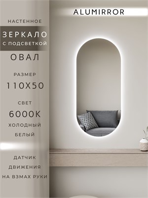 {{photo.Alt || photo.Description || 'Зеркало настенное 110х50 см. холодный свет 6000К овальное с подсветкой М6 ALUMIRROR'}}