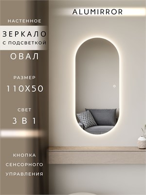 {{photo.Alt || photo.Description || 'Зеркало настенное 110х50 см. сенсорное овальное с подсветкой М6 ALUMIRROR'}}