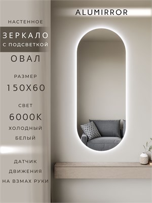 {{photo.Alt || photo.Description || 'Зеркало настенное 150х60 см. холодный свет 6000К овальное с подсветкой М6 ALUMIRROR'}}