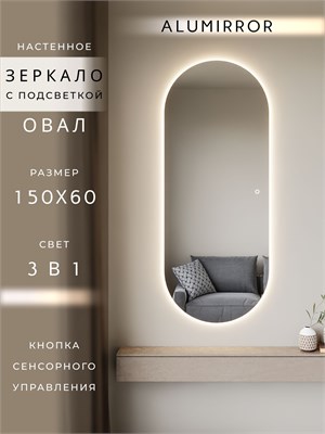 {{photo.Alt || photo.Description || 'Зеркало настенное 150х60 см. сенсорное овальное с подсветкой М6 ALUMIRROR'}}