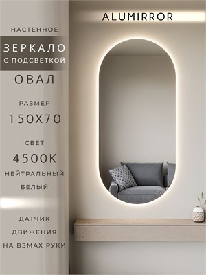 {{photo.Alt || photo.Description || 'Зеркало настенное 150х70 см. нейтральный свет 4500К овальное с подсветкой М6 ALUMIRROR'}}
