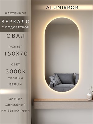 {{photo.Alt || photo.Description || 'Зеркало настенное 150х70 см. теплый свет 3000К овальное с подсветкой М6 ALUMIRROR'}}
