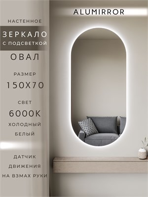 {{photo.Alt || photo.Description || 'Зеркало настенное 150х70 см. холодный свет 6000К овальное с подсветкой М6 ALUMIRROR'}}