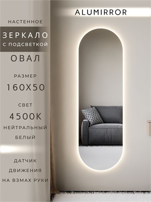 {{photo.Alt || photo.Description || 'Зеркало настенное 160х50 см. нейтральный свет 4500К овальное с подсветкой М6 ALUMIRROR'}}