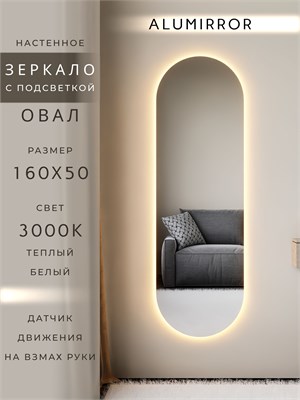 {{photo.Alt || photo.Description || 'Зеркало настенное 160х50 см. теплый свет 3000К овальное с подсветкой М6 ALUMIRROR'}}
