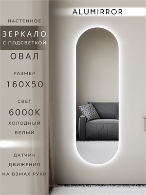 {{photo.Alt || photo.Description || 'Зеркало настенное 160х50 см. холодный свет 6000К овальное с подсветкой М6 ALUMIRROR'}}