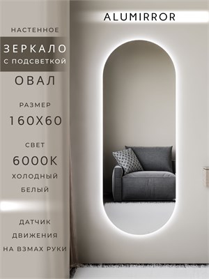 {{photo.Alt || photo.Description || 'Зеркало настенное 160х60 см. холодный свет 6000К овальное с подсветкой М6 ALUMIRROR'}}