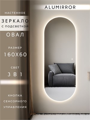 {{photo.Alt || photo.Description || 'Зеркало настенное 160х60 см. сенсорное овальное с подсветкой М6 ALUMIRROR'}}