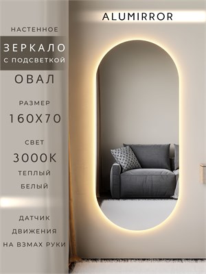 {{photo.Alt || photo.Description || 'Зеркало настенное 160х70 см. теплый свет 3000К овальное с подсветкой М6 ALUMIRROR'}}