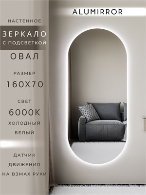 {{photo.Alt || photo.Description || 'Зеркало настенное 160х70 см. холодный свет 6000К овальное с подсветкой М6 ALUMIRROR'}}