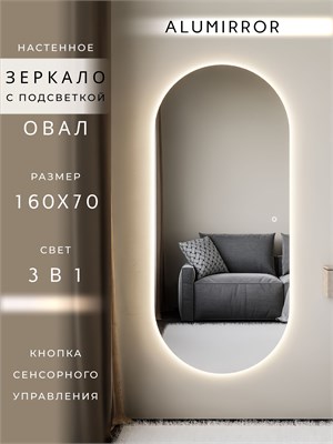 {{photo.Alt || photo.Description || 'Зеркало настенное 160х70 см. сенсорное овальное с подсветкой М6 ALUMIRROR'}}