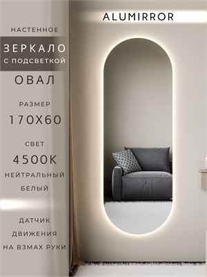 {{photo.Alt || photo.Description || 'Зеркало настенное 170х60 см. нейтральный свет 4500К овальное с подсветкой М6 ALUMIRROR'}}