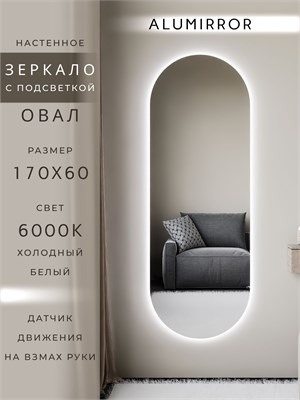 {{photo.Alt || photo.Description || 'Зеркало настенное 170х60 см. холодный свет 6000К овальное с подсветкой М6 ALUMIRROR'}}