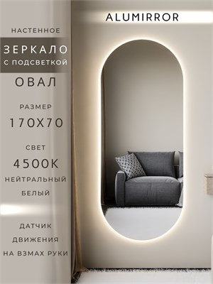{{photo.Alt || photo.Description || 'Зеркало настенное 170х70 см. нейтральный свет 4500К овальное с подсветкой М6 ALUMIRROR'}}