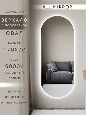 {{photo.Alt || photo.Description || 'Зеркало настенное 170х70 см. холодный свет 6000К овальное с подсветкой М6 ALUMIRROR'}}