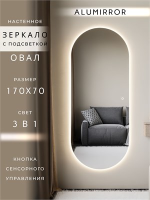 {{photo.Alt || photo.Description || 'Зеркало настенное 170х70 см. сенсорное овальное с подсветкой М6 ALUMIRROR'}}