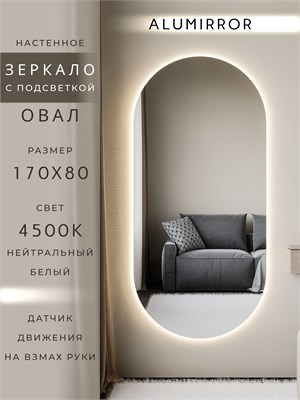 {{photo.Alt || photo.Description || 'Зеркало настенное 170х80 см. нейтральный свет 4500К овальное с подсветкой М6 ALUMIRROR'}}