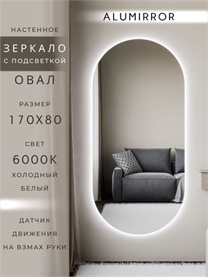 {{photo.Alt || photo.Description || 'Зеркало настенное 170х80 см. холодный свет 6000К овальное с подсветкой М6 ALUMIRROR'}}