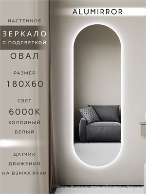 {{photo.Alt || photo.Description || 'Зеркало настенное 180х60 см. холодный свет 6000К овальное с подсветкой М6 ALUMIRROR'}}