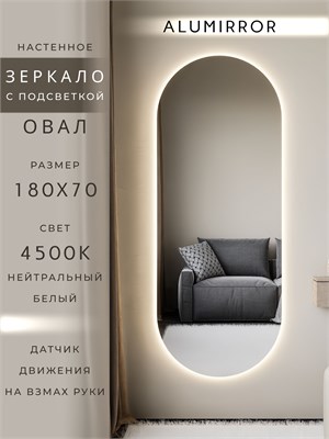 {{photo.Alt || photo.Description || 'Зеркало настенное 180х70 см. нейтральный свет 4500К овальное с подсветкой М6 ALUMIRROR'}}