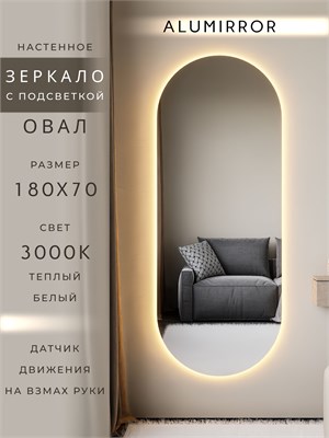 {{photo.Alt || photo.Description || 'Зеркало настенное 180х70 см. теплый свет 3000К овальное с подсветкой М6 ALUMIRROR'}}