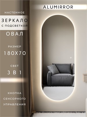 {{photo.Alt || photo.Description || 'Зеркало настенное 180х70 см. сенсорное овальное с подсветкой М6 ALUMIRROR'}}