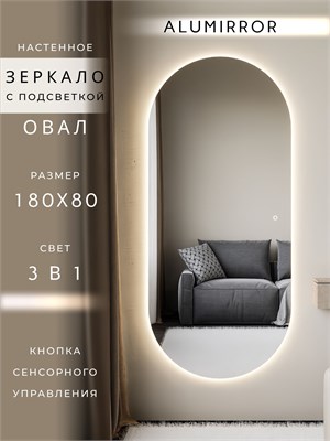 {{photo.Alt || photo.Description || 'Зеркало настенное 180х80 см. сенсорное овальное с подсветкой М6 ALUMIRROR'}}