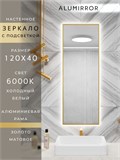 Зеркало в ванную 120х40 см с подсветкой. Свет: Холодный белый 6000К. В алюминиевой раме настенное ALUMIRROR 100-160_120x40_BL_CTRL_нет_LIGHT_холодный
