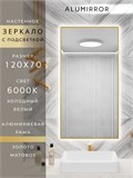Зеркало в ванную 120х70 см с подсветкой. Свет: Холодный белый 6000К. В алюминиевой раме настенное ALUMIRROR 100-160_120x70_BL_CTRL_нет_LIGHT_холодный