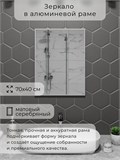 Зеркало в ванную 70х40 см в алюминиевой раме настенное ALUMIRROR 1000_70x40_NOBL