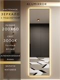 Зеркало настенное 200х60 см с подсветкой. Свет: Теплый белый 3000К. В алюминиевой раме интерьерное ALUMIRROR 200-240_200x60_BL_CTRL_нет_LIGHT_теплый